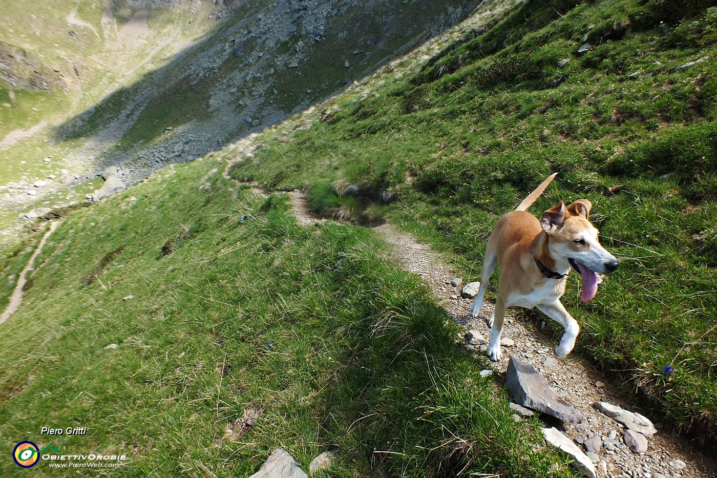 17 Birra e...sentiero di montagna.JPG